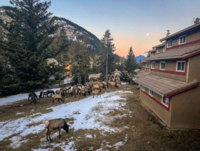 Гостиница HI Banff Alpine Centre - Hostel  Бэнфф